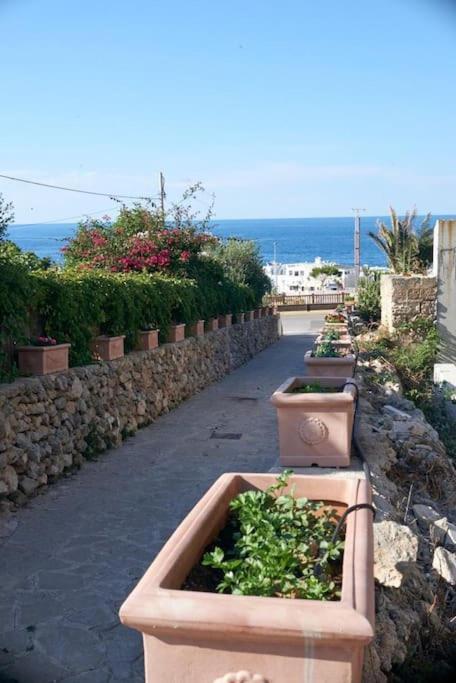 San Vito Apartament Polignano a Mare Eksteriør billede